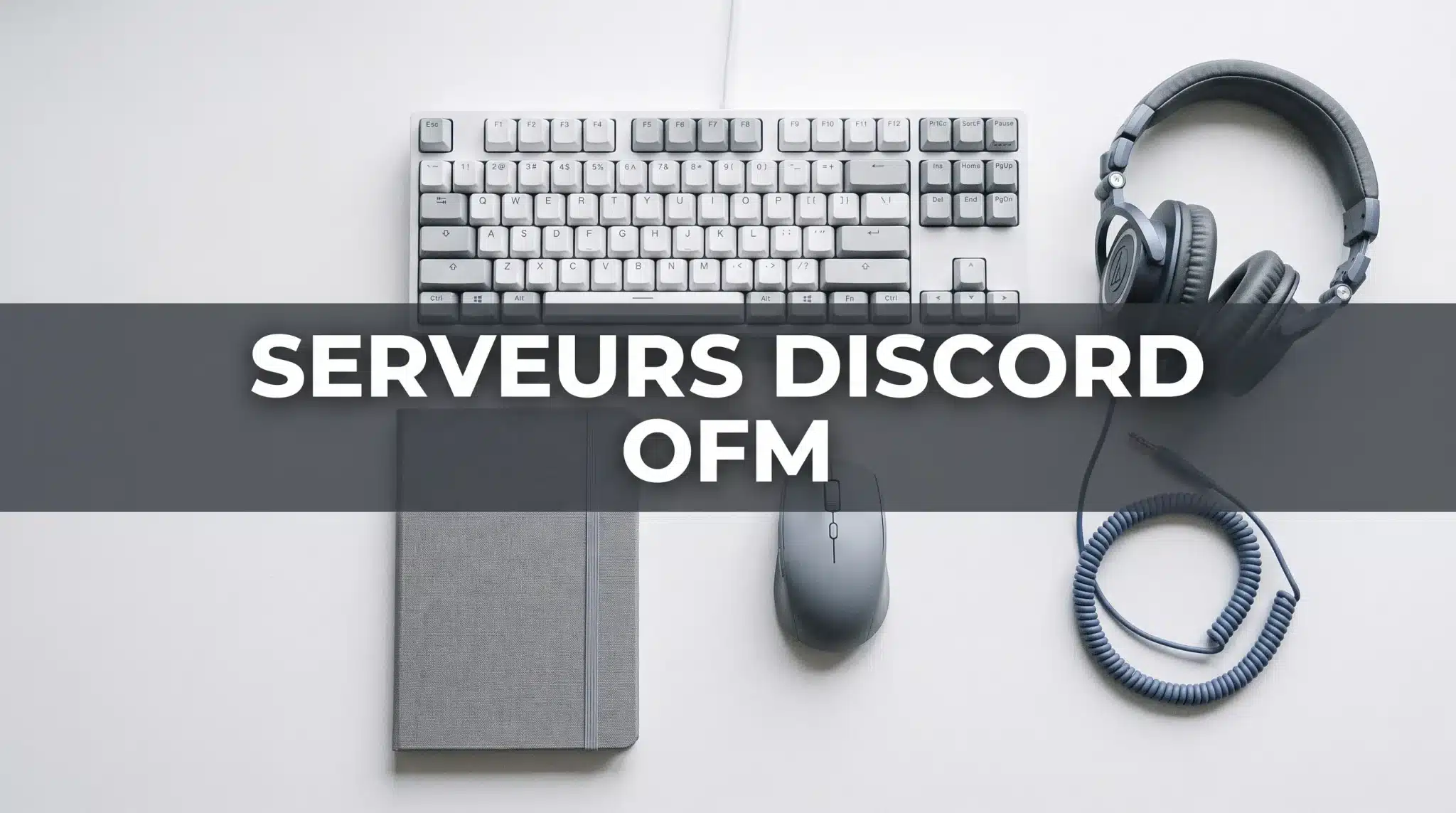 Top 5 des meilleurs serveurs Discord OFM